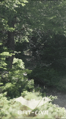 25_07_12_Peisey N°35 V5890