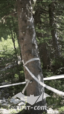 25_07_12_Peisey N°35 V6187