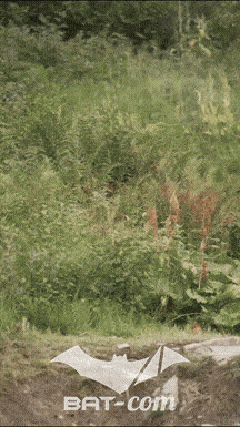 25_07_19_Meribel_Videos N°285 V7202