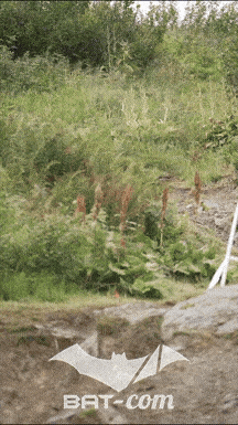 25_07_19_Meribel_Videos N°ORGA V7296