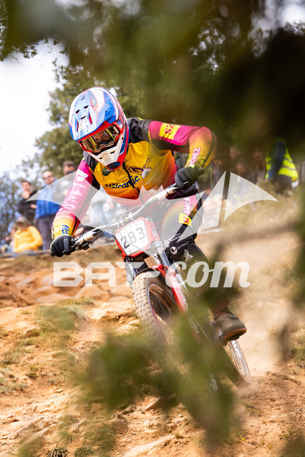 26_03_30_Millau_p N°283 P07878
