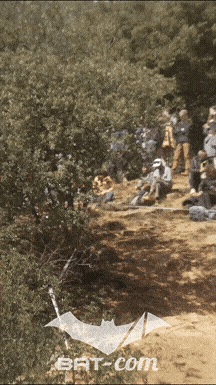 26_03_30_Millau_v N°268 V6843