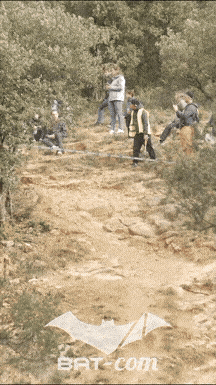 26_03_30_Millau_v N°297 V5765
