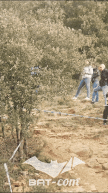 26_03_30_Millau_v N°329 V5754