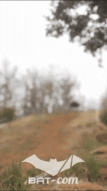 26_03_30_Millau_v N°147 V6358