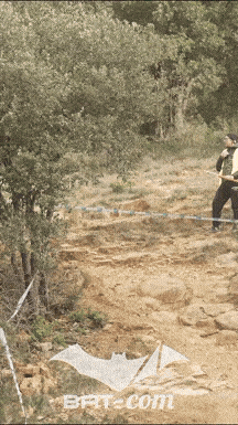 26_03_30_Millau_v N°93 V5742