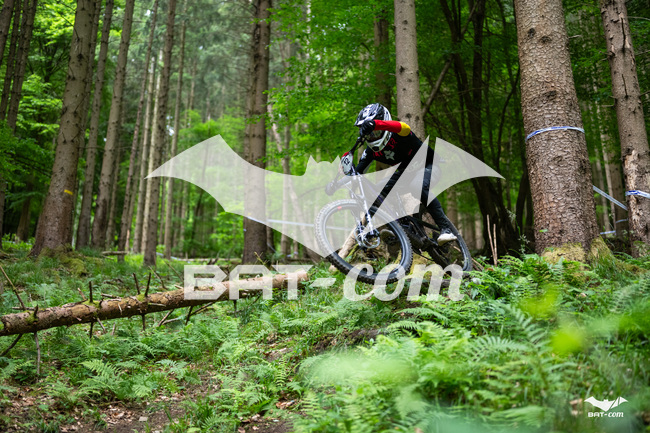 26_05_17_SteMaM_Damien N°12 P4104
