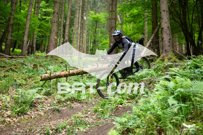 26_05_17_SteMaM_Damien N°156 P3891