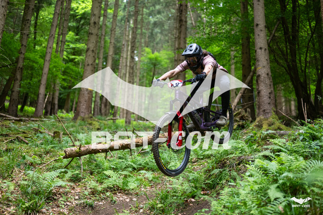 26_05_17_SteMaM_Damien N°17 P3901