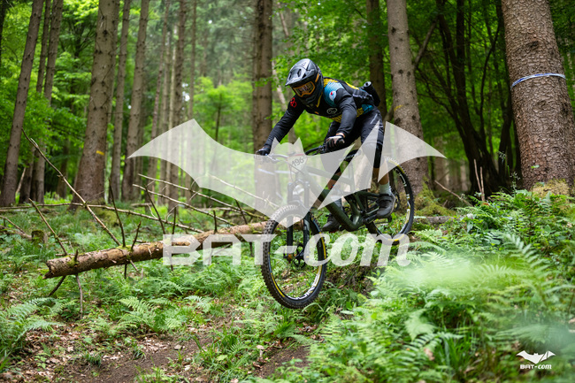 26_05_17_SteMaM_Damien N°196 P3604