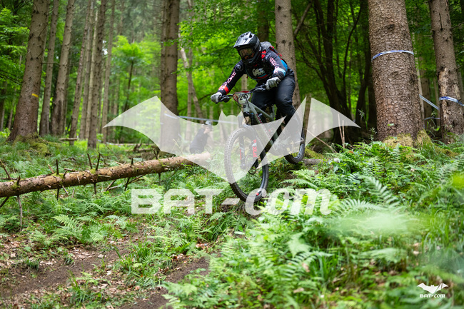 26_05_17_SteMaM_Damien N°210 P3801