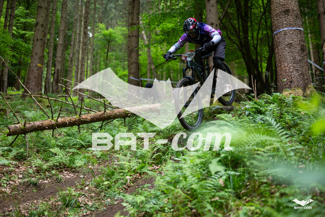 26_05_17_SteMaM_Damien N°218 P3607