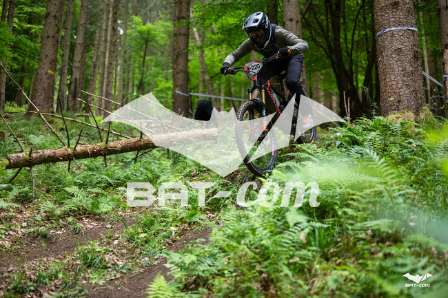 26_05_17_SteMaM_Damien N°220 P3614