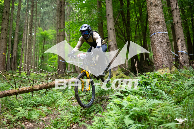 26_05_17_SteMaM_Damien N°232 P3456