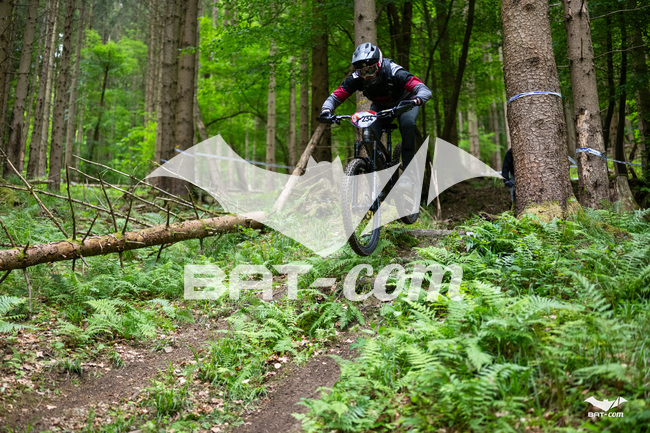 26_05_17_SteMaM_Damien N°234 P3447