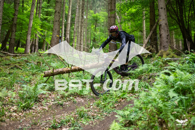 26_05_17_SteMaM_Damien N°235 P3561