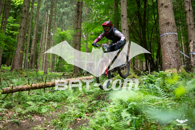 26_05_17_SteMaM_Damien N°241 P3958