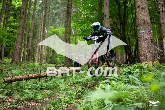 26_05_17_SteMaM_Damien N°246 P3659