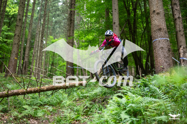 26_05_17_SteMaM_Damien N°294 P3506