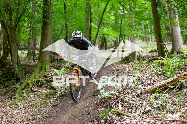 26_05_17_SteMaM_Damien N°302 P3410