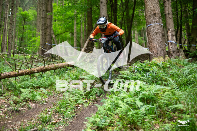26_05_17_SteMaM_Damien N°323 P3442