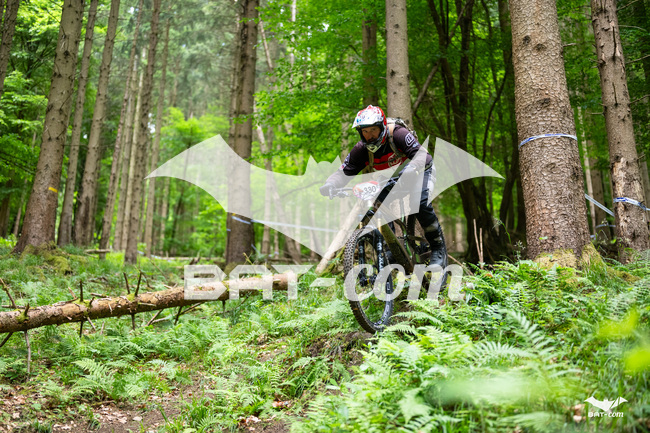 26_05_17_SteMaM_Damien N°330 P3914