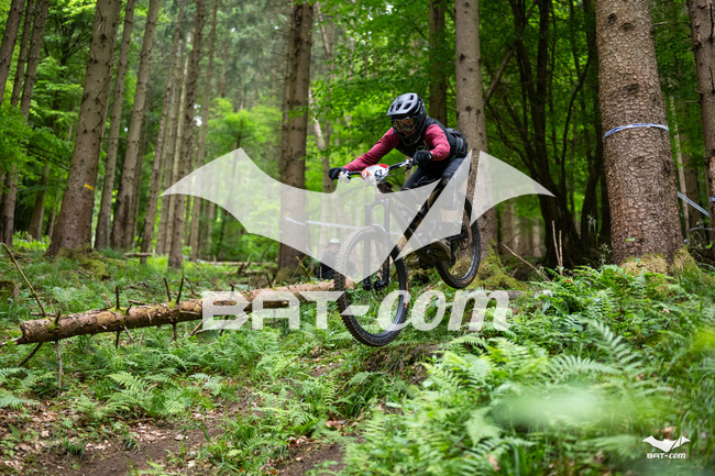 26_05_17_SteMaM_Damien N°43 P3757