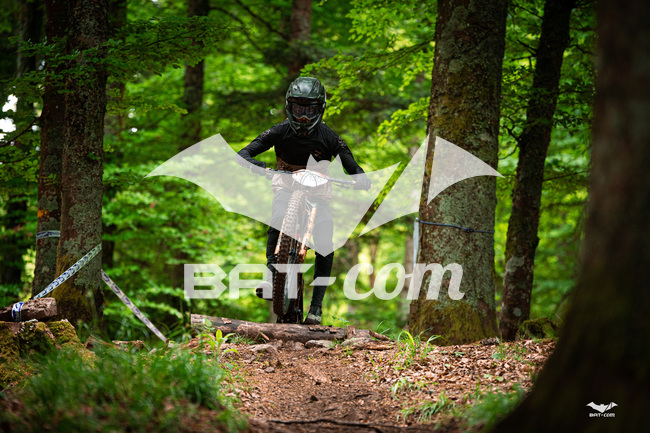 26_05_17_Ste_Marie_aux_mines N°135 P00808