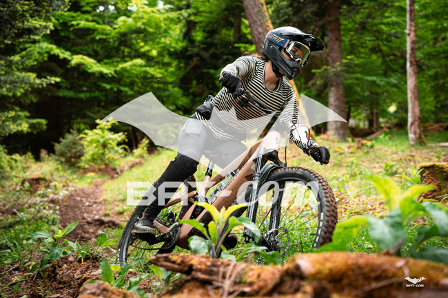 26_05_17_Ste_Marie_aux_mines N°ND P01750