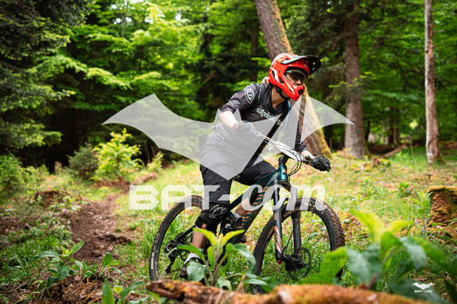 26_05_17_Ste_Marie_aux_mines N°161 P01715