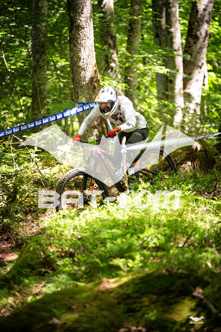 26_05_23_Brassac N°375 P02528