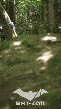 26_05_24_Brassac_v N°114 V0132