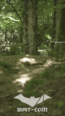 26_05_24_Brassac_v N°133 V0131
