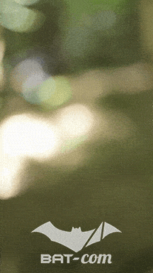 26_05_24_Brassac_v N°172 V0192