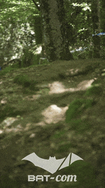 26_05_24_Brassac_v N°194 V0067
