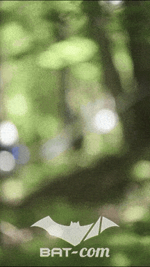 26_05_24_Brassac_v N°196 V0383