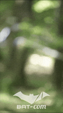 26_05_24_Brassac_v N°270 V0591