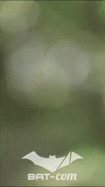 26_05_24_Brassac_v N°273 V0589