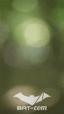 26_05_24_Brassac_v N°303 V0036