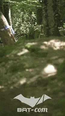 26_05_24_Brassac_v N°311 V0092