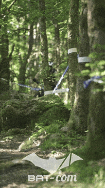 26_05_24_Brassac_v N°354 V0562