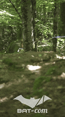 26_05_24_Brassac_v N°372 V0850