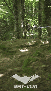 26_05_24_Brassac_v N°374 V0854