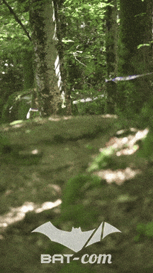 26_05_24_Brassac_v N°444 V0826