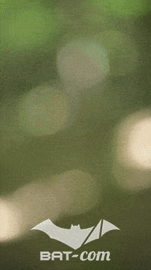 26_05_24_Brassac_v N°449 V0823