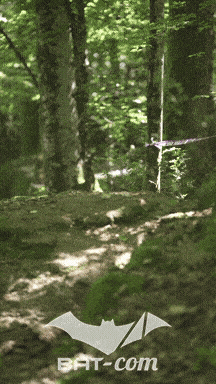 26_05_24_Brassac_v N°461 V0844