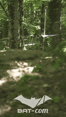 26_05_24_Brassac_v N°470 V0836