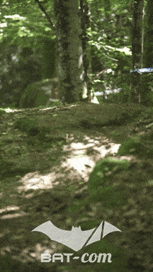 26_05_24_Brassac_v N°471 V0832