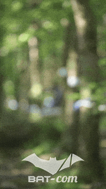 26_05_24_Brassac_v N°473 V0519