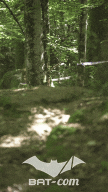 26_05_24_Brassac_v N°480 V0833